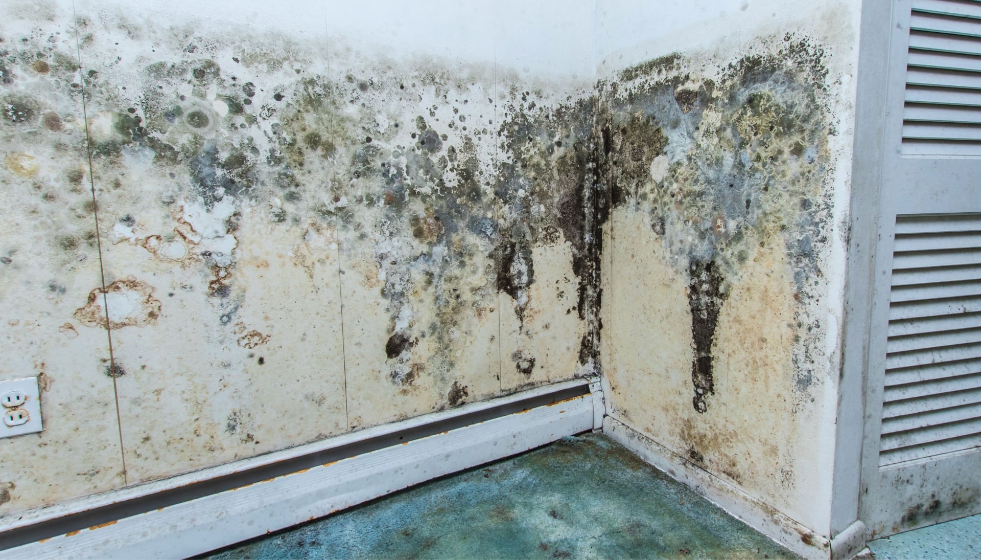 Mold Damage Odor Control Services in South Bend