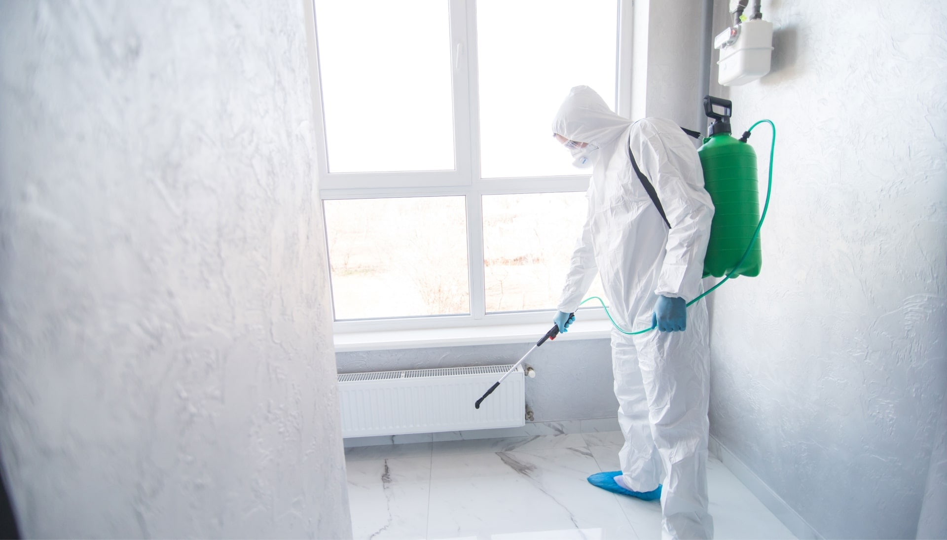 Mold Inspection Services in South Bend